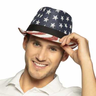 Amerikaanse 1x usa verkleed hoeden voor volwassenen kopen