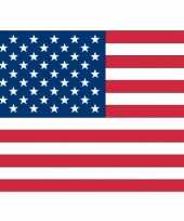 Amerikaanse 10x vlag usa amerika stickers 10 cm kopen