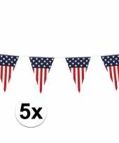 Amerikaanse 5x vlaggenlijn vlaggetjes amerika usa 6 meter kopen