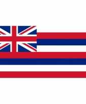 Amerikaanse vlag hawaii 90 x 150 cm kopen
